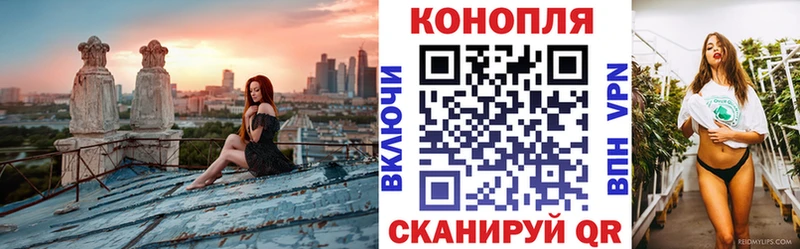 магазин    Дорогобуж  Каннабис VHQ 